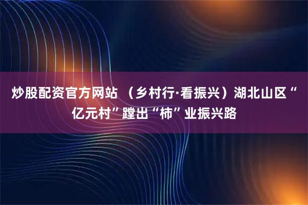 炒股配资官方网站 （乡村行·看振兴）湖北山区“亿元村”蹚出“柿”业振兴路